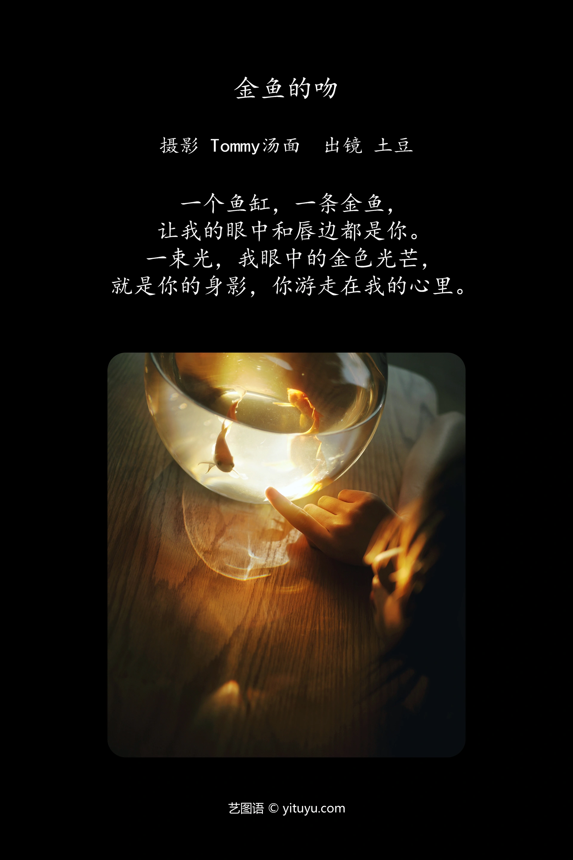 [YITUYU艺图语]2024.11.30 金鱼的吻 土豆 0